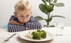 Introducing New Foods to Picky Eaters